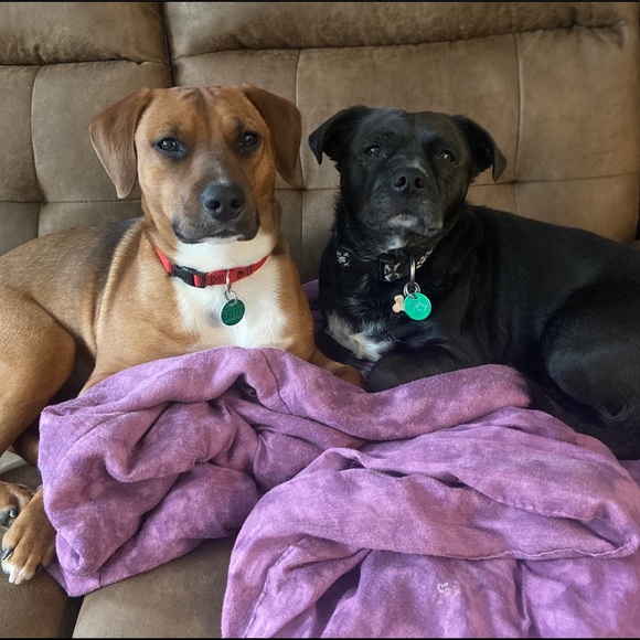 PLEASE READ I do not sell for less than $8! I WILL give deals on Bundles ☘️ - Picture 2 of 2